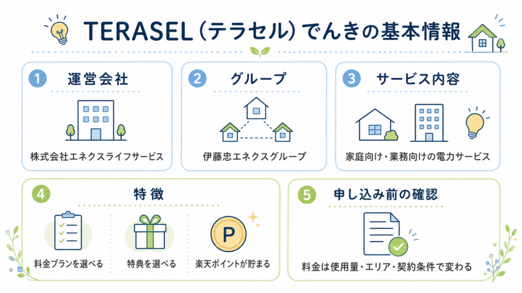 TERASEL（テラセル）でんきの運営会社や特徴をまとめた基本情報図